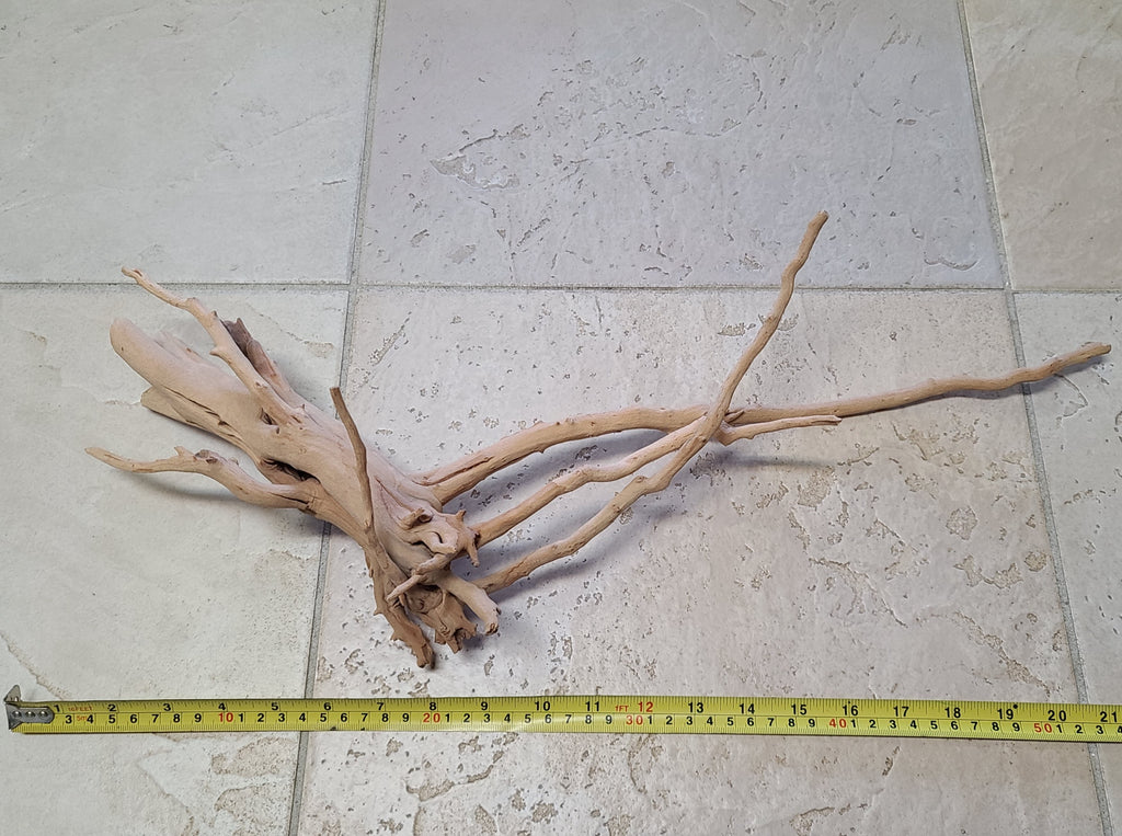 Unique Manzanita Wood (Stumps, Branches and Roots)